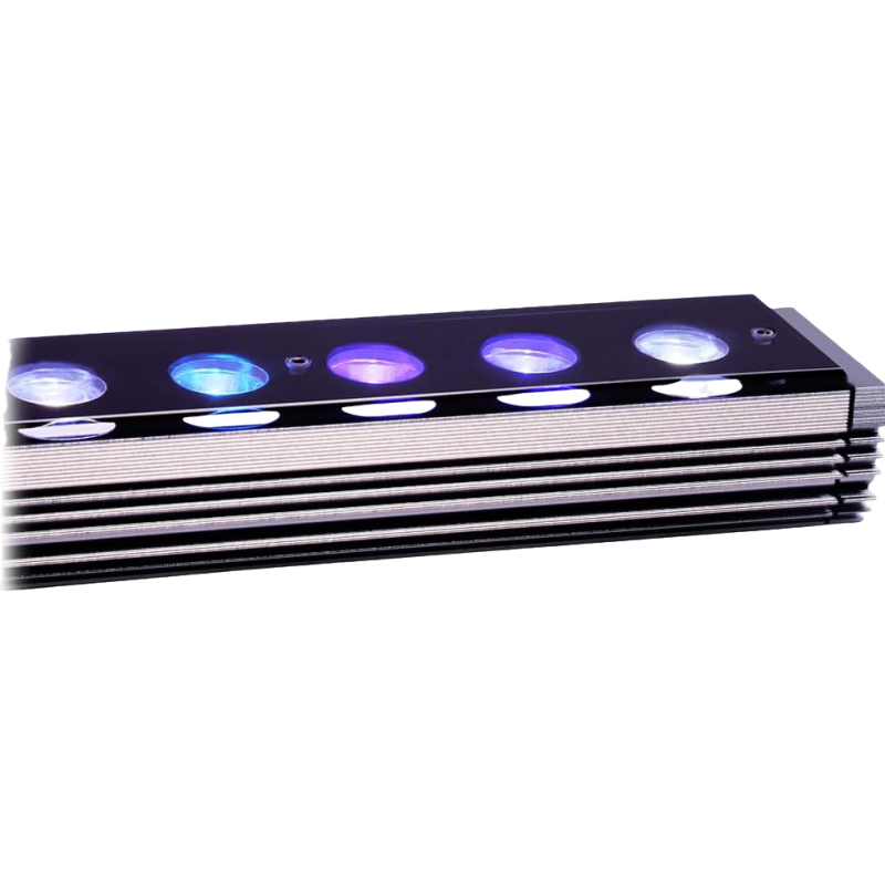 Aquarium Blue Marine Reef - Reef Emitting Diode Aquarium 6w Dual