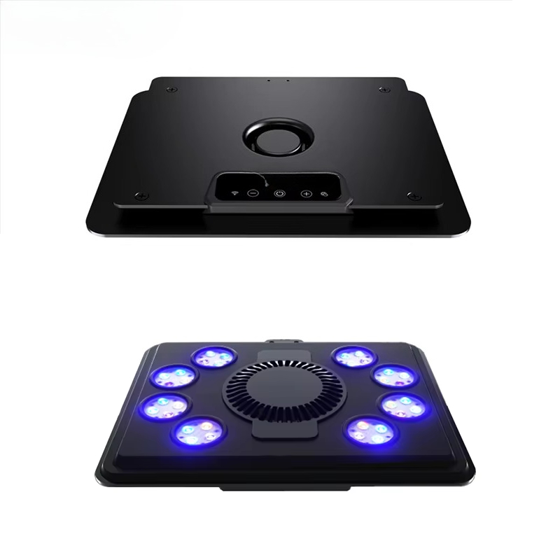 2025 hot sale MJ-L260/L290 Blu - Aquarium Blue Marine Reef 리뷰 및 가격