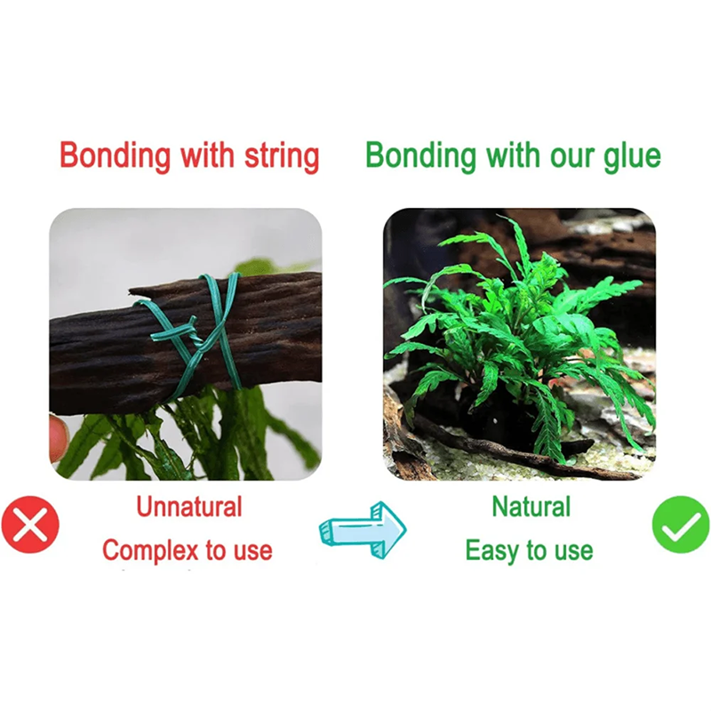 50/100g  Aquarium Landscaping  - Marine Aquarium Epoxy 리뷰 및 가격