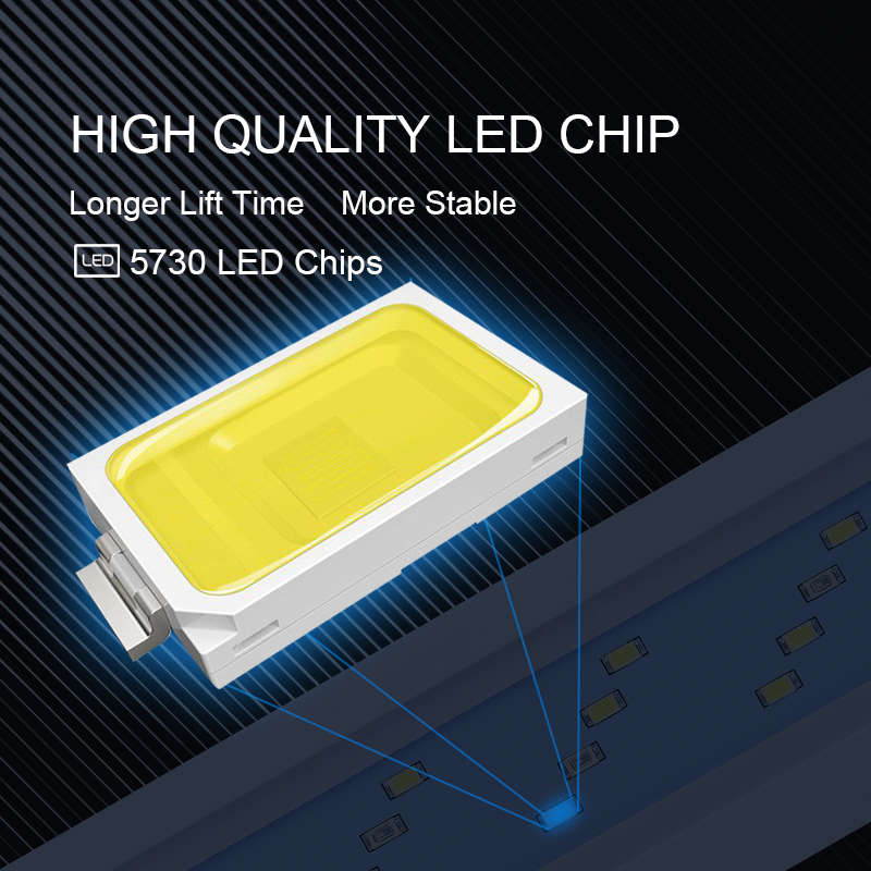 Extensible Waterproof Clip on  - Aquarium Marine Light 리뷰 및 가격