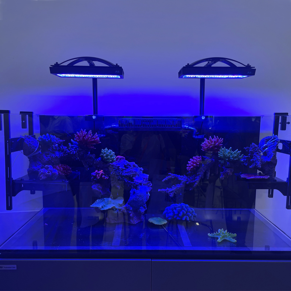 Wifi APP 240W A8 PRO Blue MAX  - Aquarium Blue Marine Reef 리뷰 및 가격