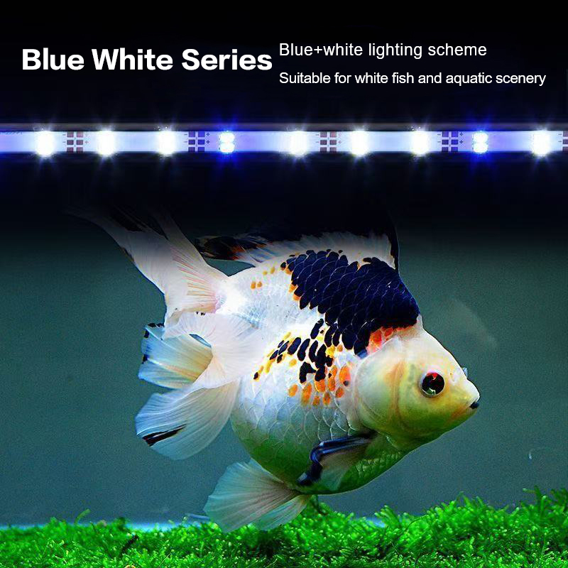 17-47CM USB Plug Aquarium Ligh - Aquarium Marine Light 리뷰 및 가격