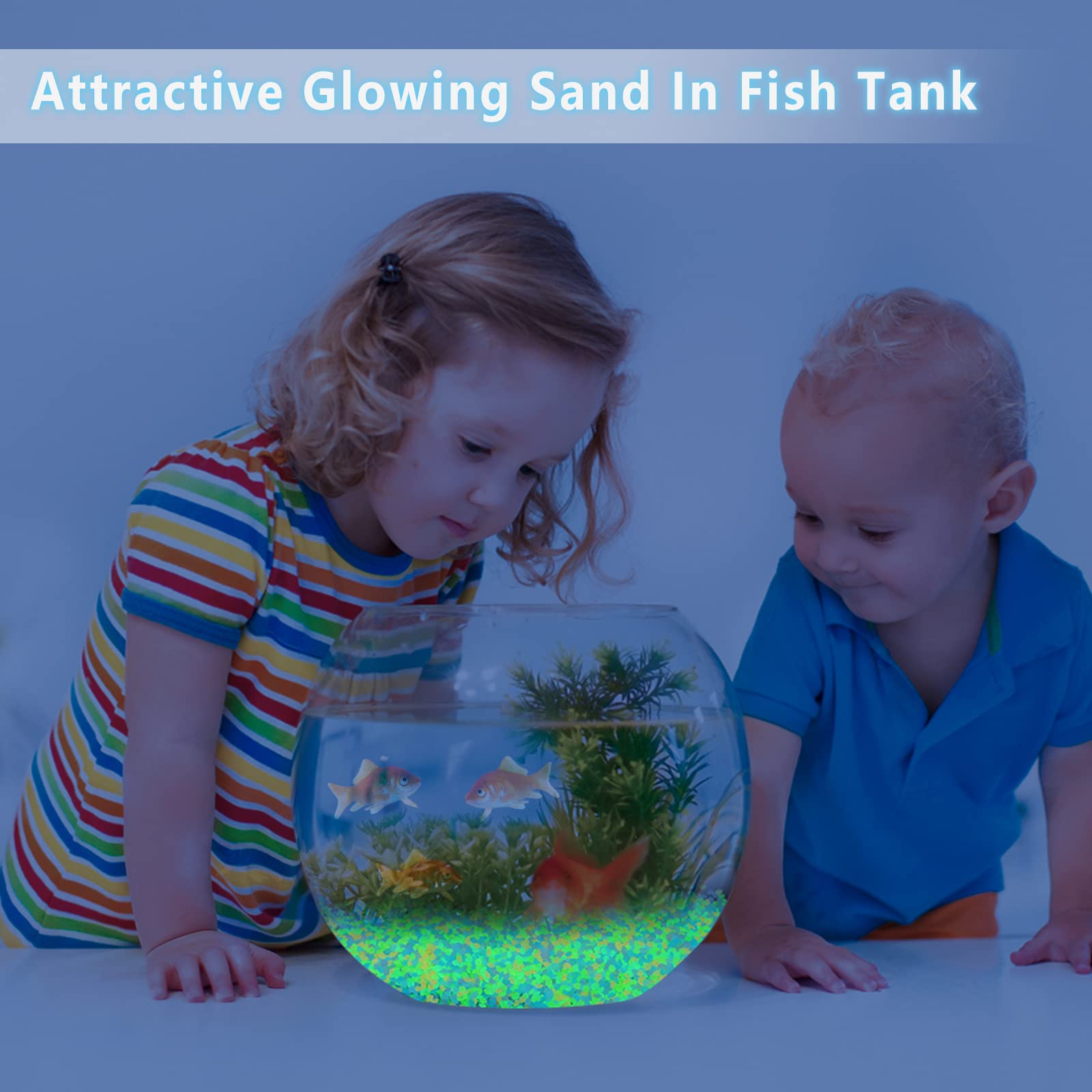 1000Pcs Luminous Sand Glow In  - Marine Aquarium Tanks 리뷰 및 가격