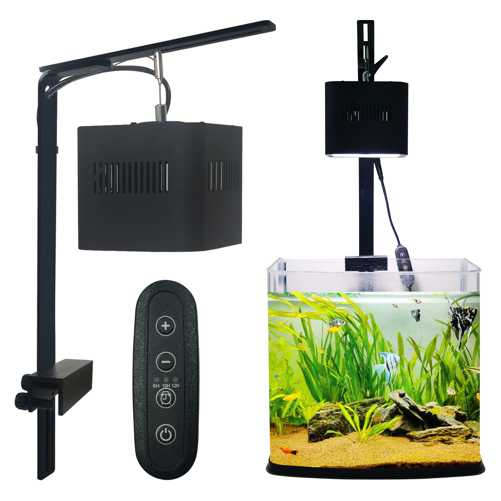 8H 10H 12H Timer Panel Reef Ma - Aquarium Blue Marine Reef 리뷰 및 가격