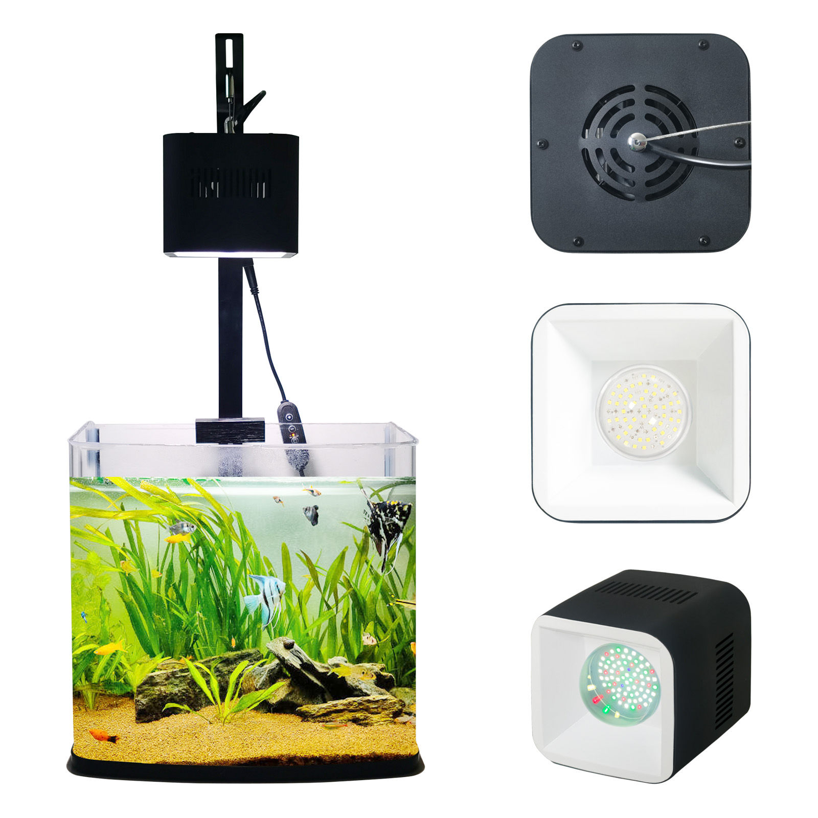 8H 10H 12H Timer Panel Reef Ma - Aquarium Blue Marine Reef 리뷰 및 가격