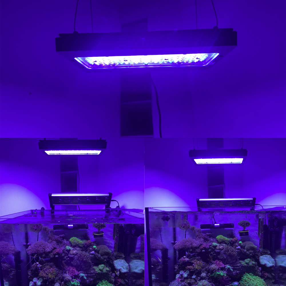 A8SE pro II MAX Blue 240W Mari - Aquarium Blue Marine Reef 리뷰 및 가격