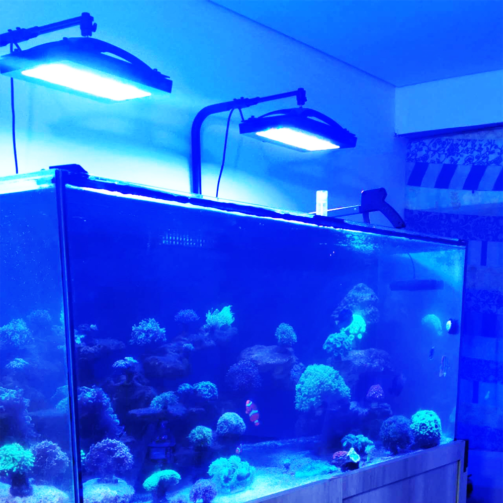 A8SE pro II MAX Blue 240W Mari - Aquarium Blue Marine Reef 리뷰 및 가격