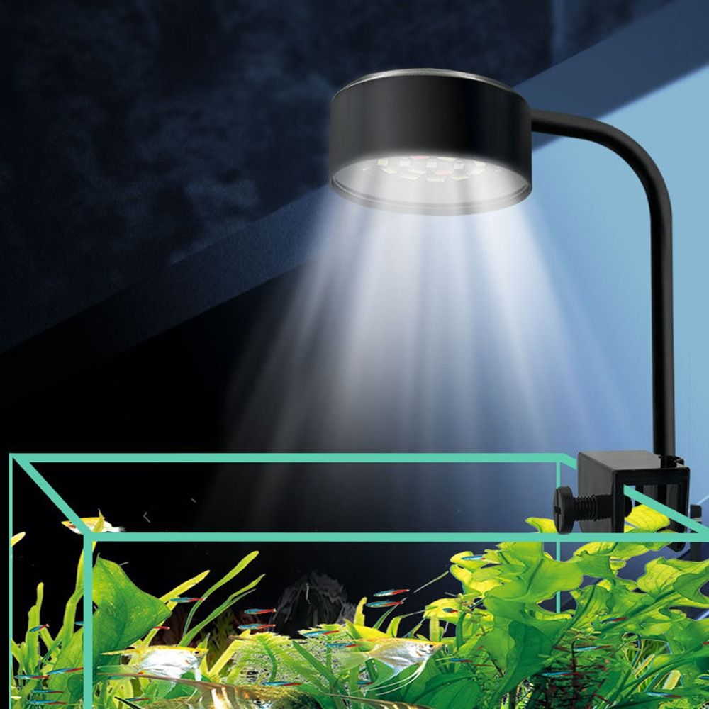 3 Color Modes Mini Clip-on Aqu - Aquarium Marine Light 리뷰 및 가격