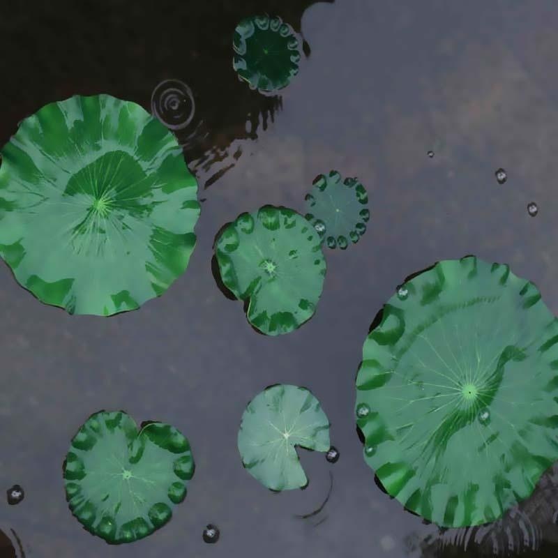 2026 Artificial Water Lily Lot - Marine Aquarium Tanks 리뷰 및 가격