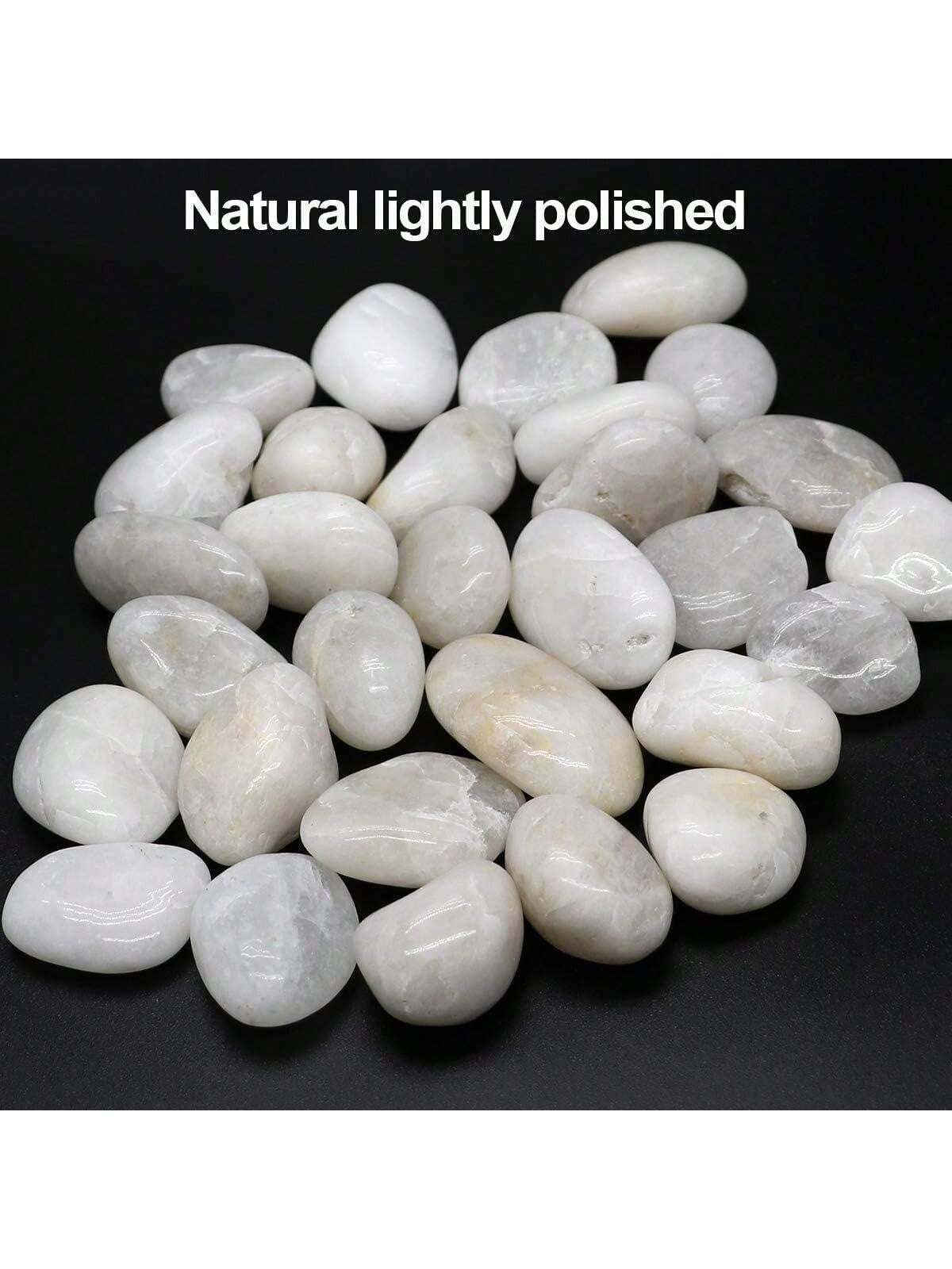 River Rocks Decorative Ornamen - Marine Aquarium Tanks 리뷰 및 가격