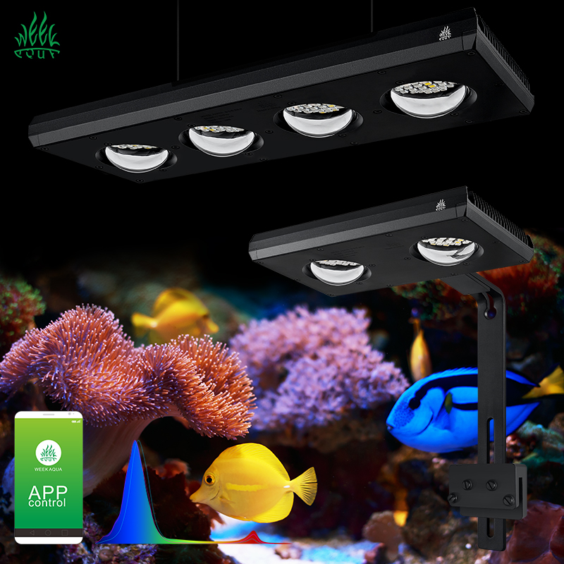 ZXY Hot Sale WEEKAQUA Z250 Z40 - Aquarium Blue Marine Reef 리뷰 및 가격