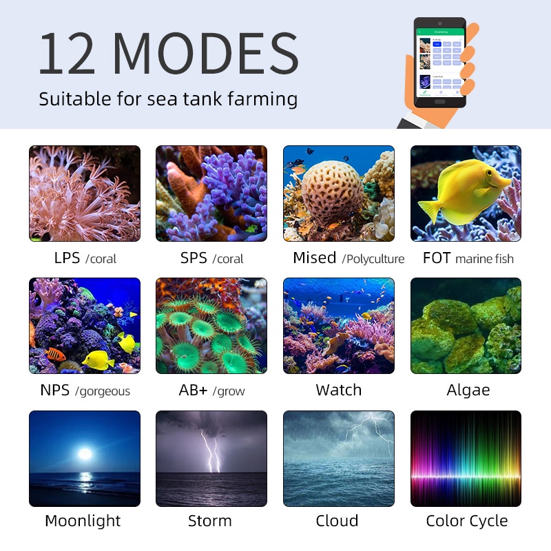 ZXY Hot Sale WEEKAQUA Z250 Z40 - Aquarium Blue Marine Reef 리뷰 및 가격