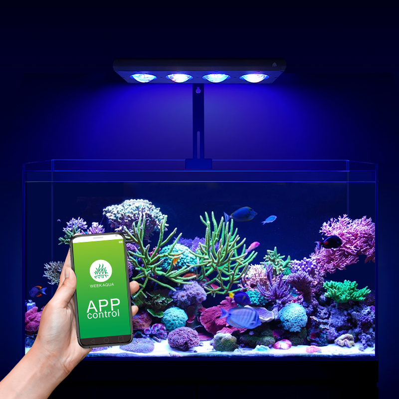 ZXY Hot Sale WEEKAQUA Z250 Z40 - Aquarium Blue Marine Reef 리뷰 및 가격