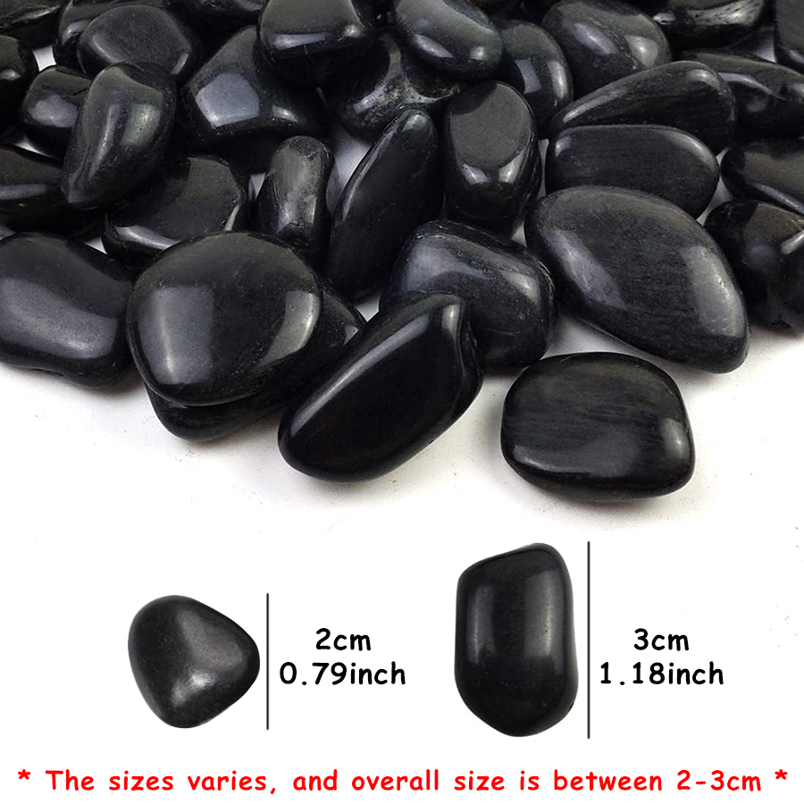 200g Black High Polished Natur - Marine Aquarium Tanks 리뷰 및 가격