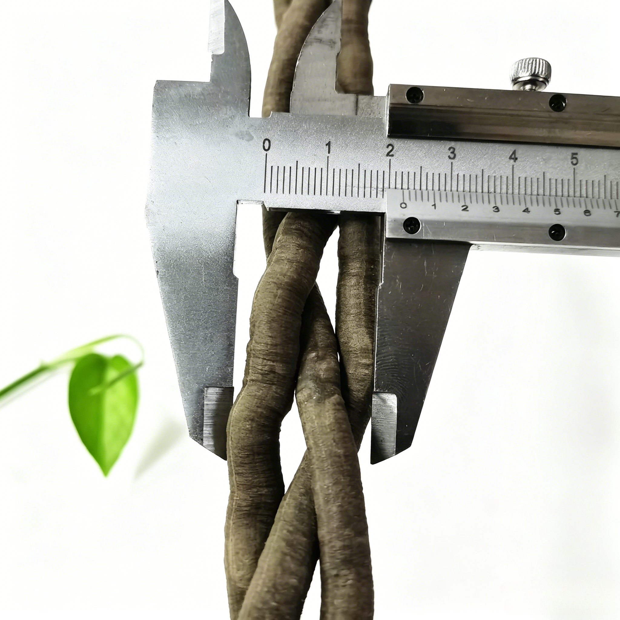 100cm Artificial Vine Fake Pla - Marine Aquarium Tanks 리뷰 및 가격