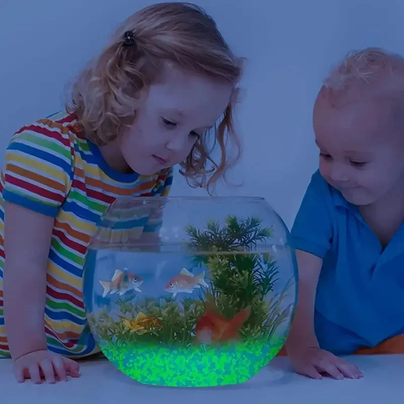 1000pcs 3-5mm Luminous Sand Gl - Marine Aquarium Tanks 리뷰 및 가격