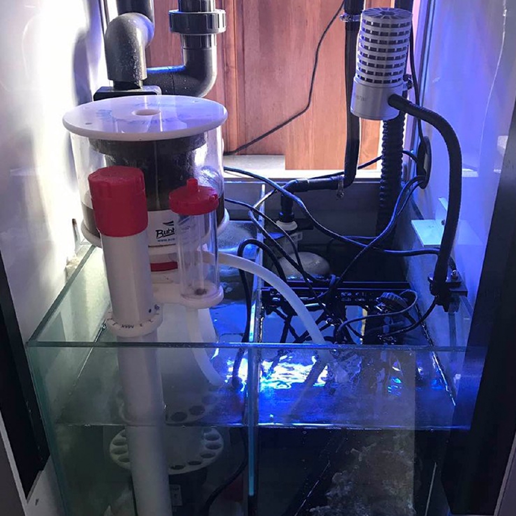 220V Bubble Magus Curve5 Aquar - Marine Aquarium Protein Skimmer 리뷰 및 가격