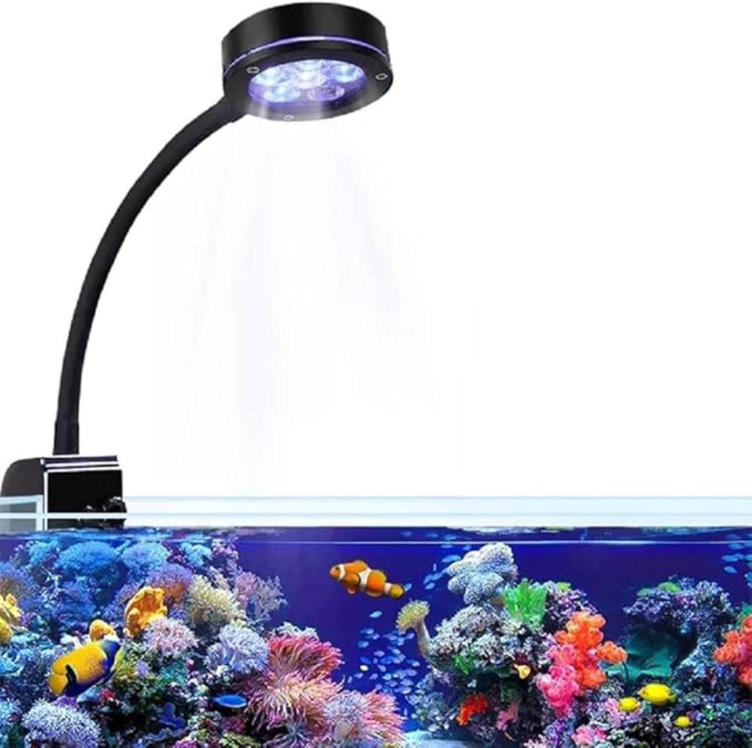 Aquarium LED Coral Reef Light  - Aquarium Blue Marine Reef 리뷰 및 가격
