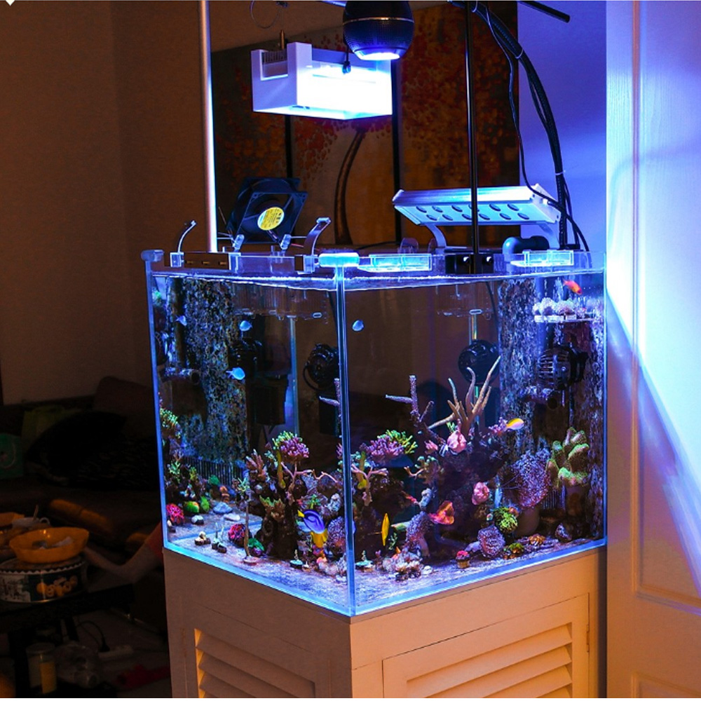 80W Full Spectrum Led Lights S - Aquarium Blue Marine Reef 리뷰 및 가격