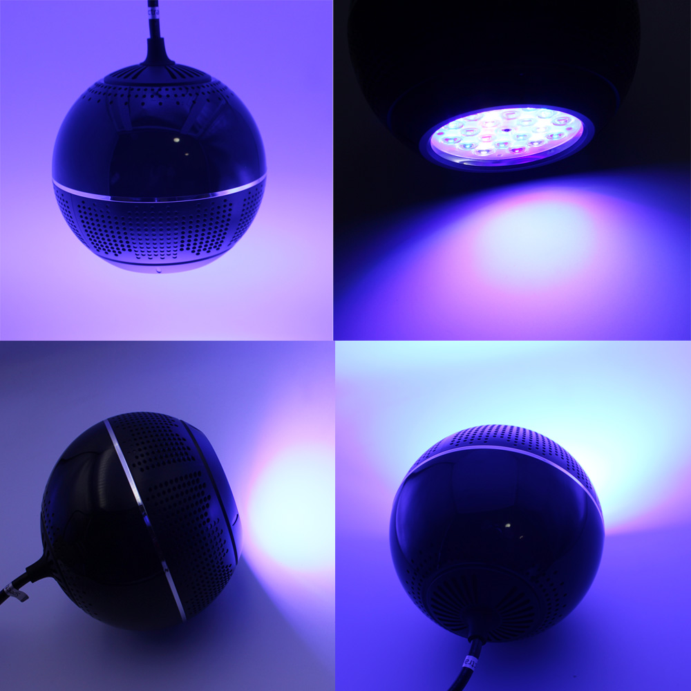 80W Full Spectrum Led Lights S - Aquarium Blue Marine Reef 리뷰 및 가격