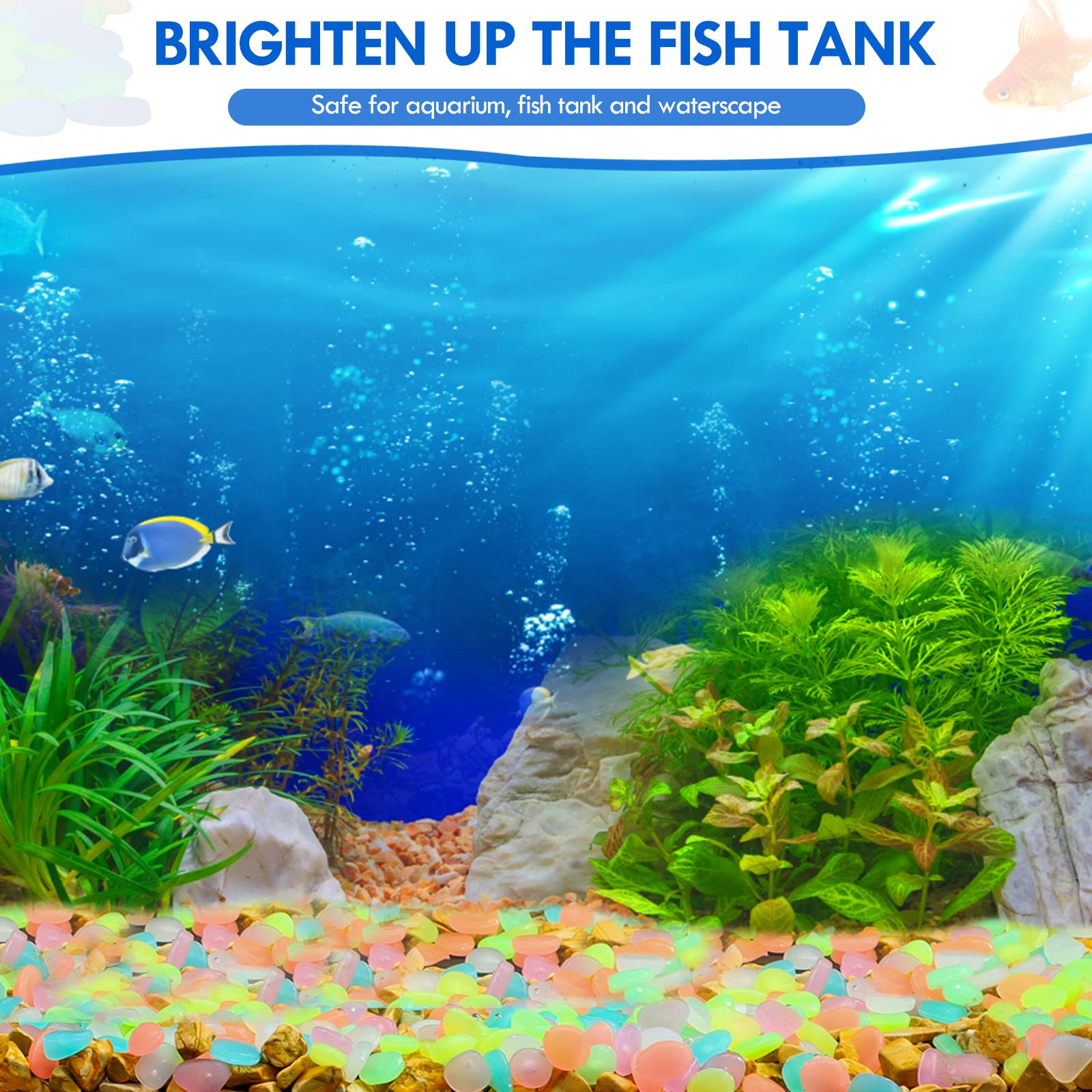 100Pcs Glow in the Dark Garden - Marine Aquarium Tanks 리뷰 및 가격