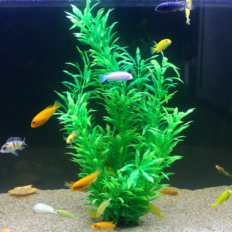50CM Artificial Fish Tank Rare - Marine Aquarium Tanks 리뷰 및 가격