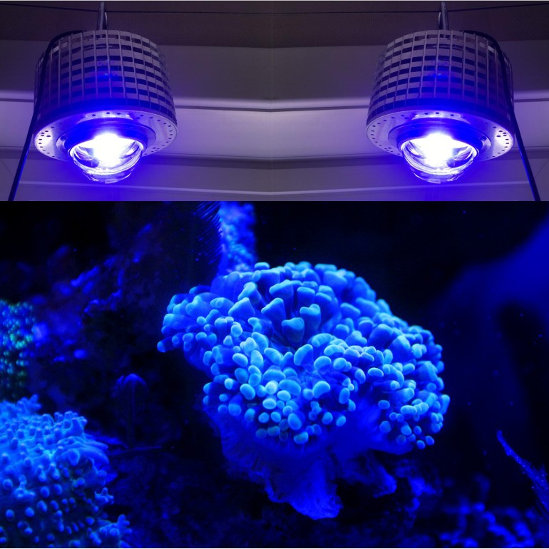 LED Aquarium Lighting Full Spe - Aquarium Blue Marine Reef 리뷰 및 가격