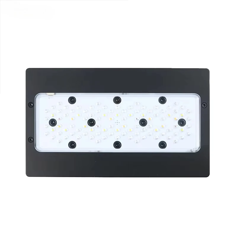 A8Pro Max/Blue 240W CREE Light - Aquarium Blue Marine Reef 리뷰 및 가격