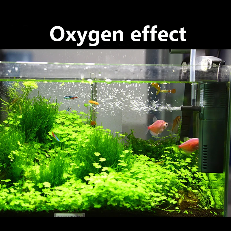 SUNSUN mini nano 111B 311B 611 - Marine Aquarium Return Pump 리뷰 및 가격